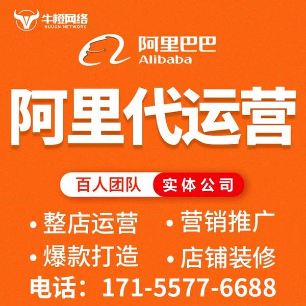 安康电商代运营