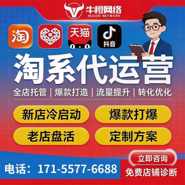 安康电商代运营