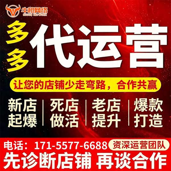 安康电商代运营
