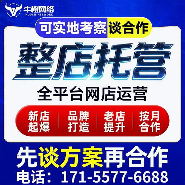 安康电商代运营