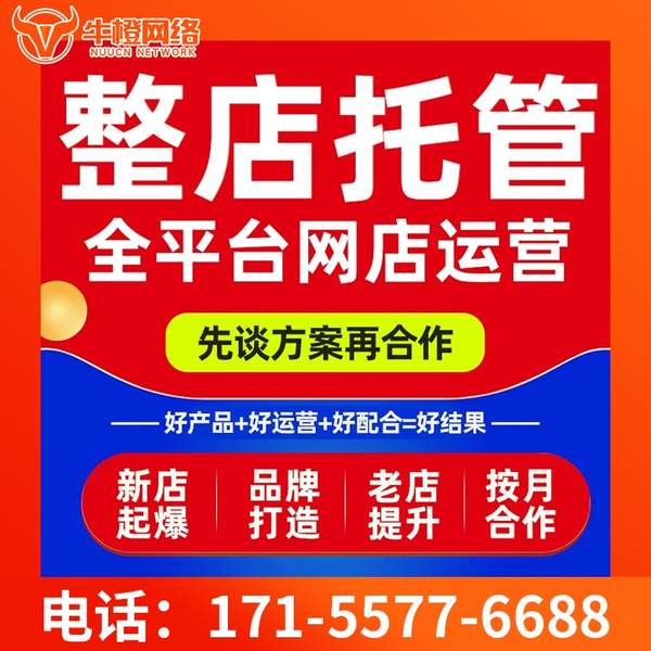 安康电商代运营