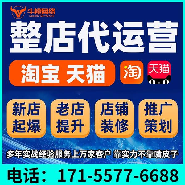 安康电商代运营