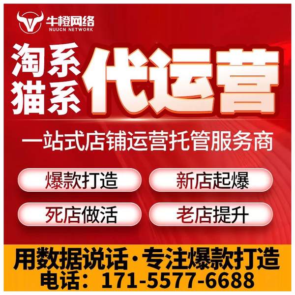 安康电商代运营